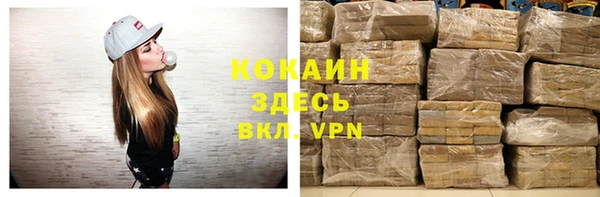 прущие грибы Арсеньев