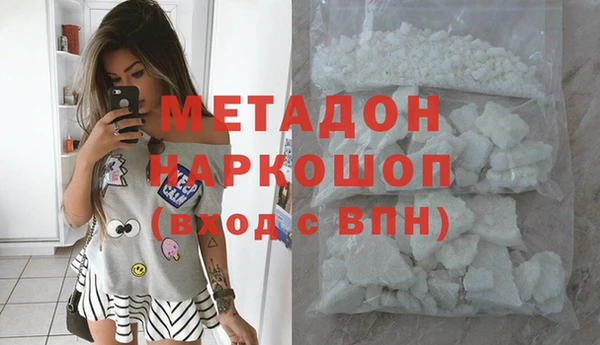 прущие грибы Аркадак