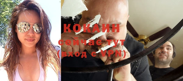 прущие грибы Арсеньев